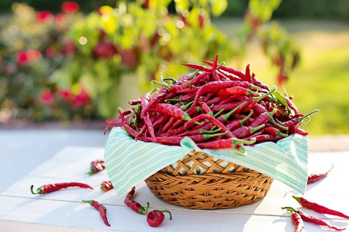 Benefits of Chili pepper - why do nutritionists and doctors recommend it?