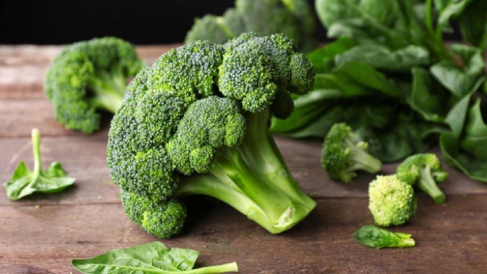 Benefits of broccoli for health : Why do Doctors advise eating it?