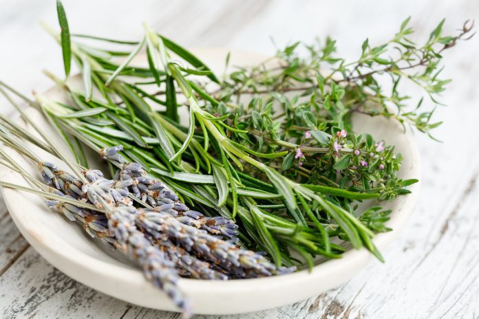 6 benefits of rosemary for hair and the correct way to use it