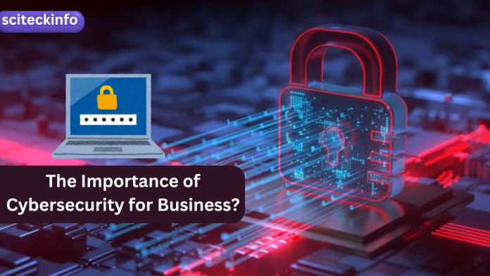 The Importance of Cybersecurity for Business?